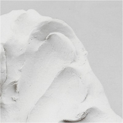 PASTA MODELAJ PLUS ALB 1000 GR 2