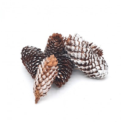 Con de brad vopsit set 6bc