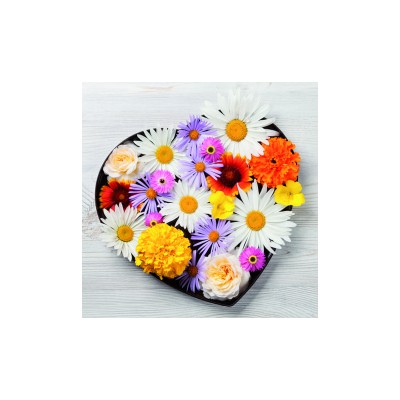 Servetel decoupage Ti-Flair 340155