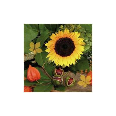 Servetel decoupage Ti-Flair 342020