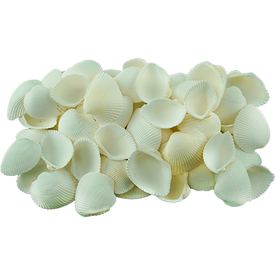 Bucati coaja de cocos 300g