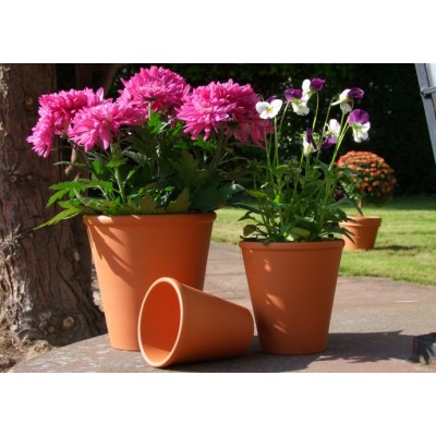 Ghiveci ceramica 8 cm 2