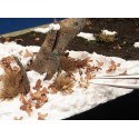 Ground textures Vallejo 200ml - White Stone