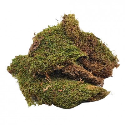 Muschi natural