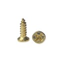 Surub auriu 3x10 mm