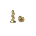 Surub auriu 2,5x10 mm