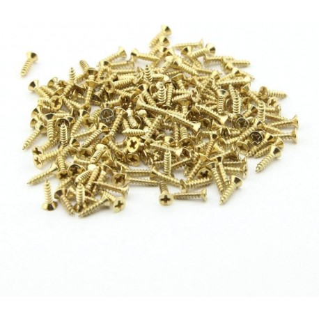 Surub auriu 2,5x10 mm