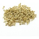 Surub auriu 2,5x10 mm