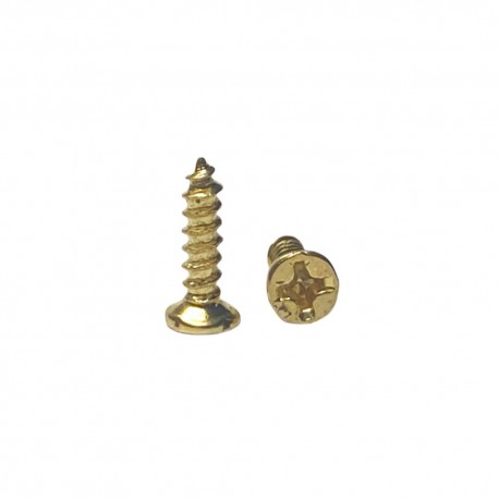Surub auriu 2x8 mm