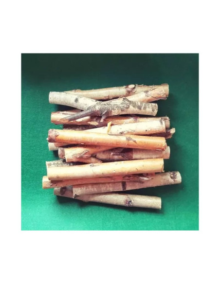 Crengi mesteacan 20cm