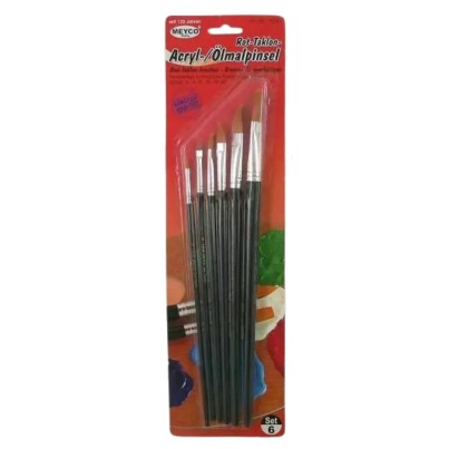 Meyco synthetic bristle brushes - Set of 6