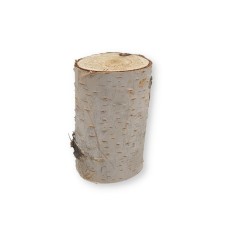Butuc mesteacan 6x8cm