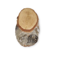 Disc mesteacan Oval DMOV 2