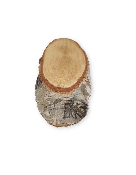 Disc mesteacan Oval DMOV