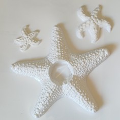 Forma turnare ipsos Stea de mare cod 42