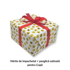 copy of Setul Incepatorului in Ulei 2