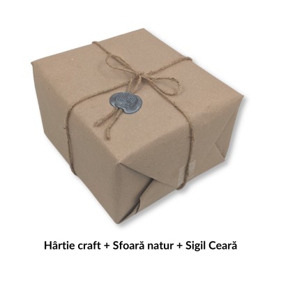 Setul Incepatorului in Acril