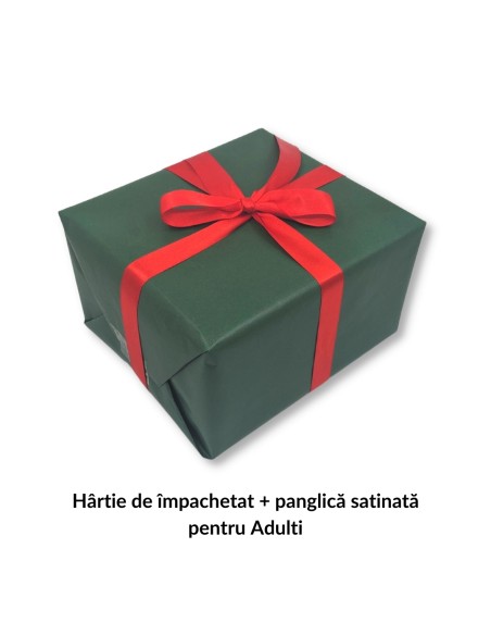 copy of Setul Incepatorului in Ulei