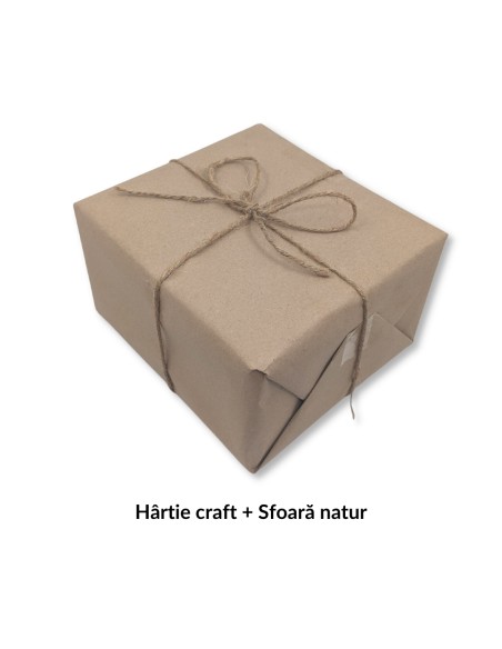 Pachet Cadou Pictura in Tempera