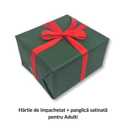 Pachet Cadou Pictura in Tempera