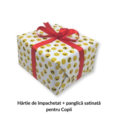 Pachet Cadou Pictura in Tempera