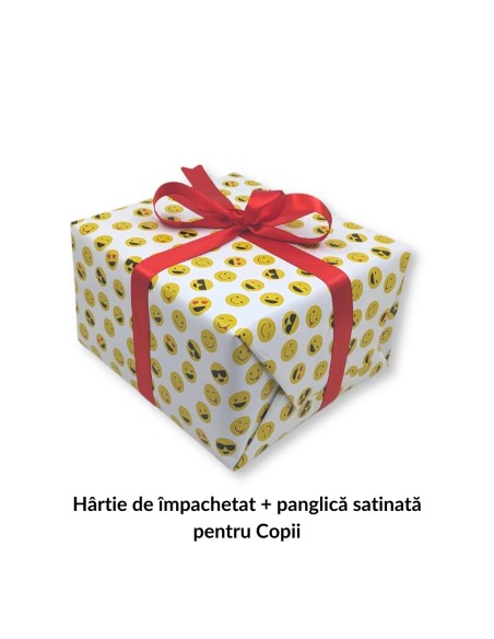 Pachet Cadou Pictura in Tempera