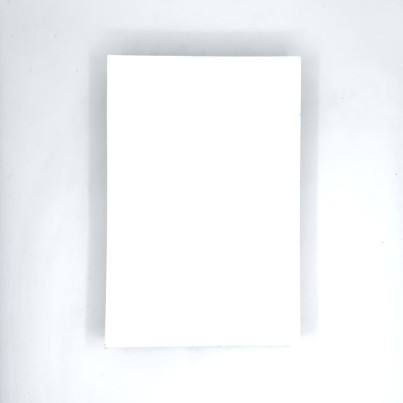 PROMO Carton pictura Mustash Probord 30x40...