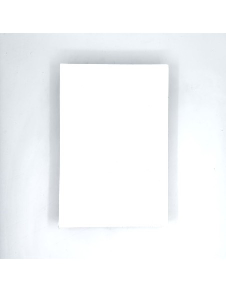 PROMO Carton pictura Mustash Probord 25 x35, 3mm 10+1