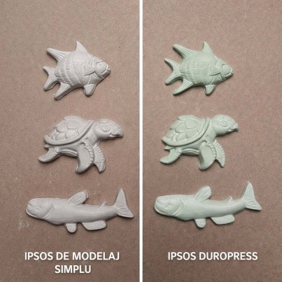 copy of Ipsos pentru modelaj