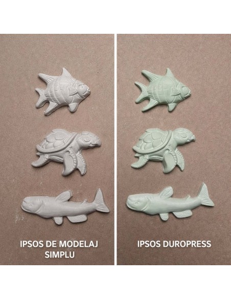 copy of Ipsos pentru modelaj