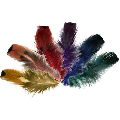 Set pene colorate pentru decor