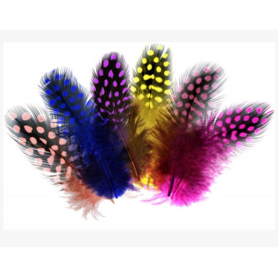 Set pene colorate pentru decor