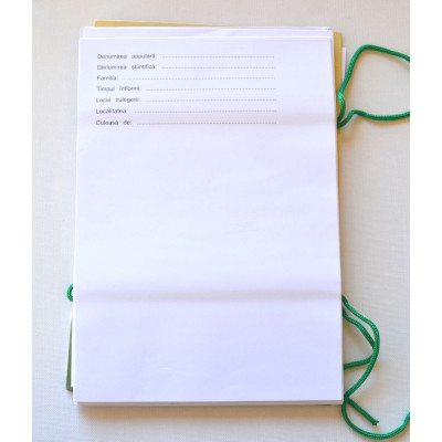 Ierbar Scolar Ecada 2