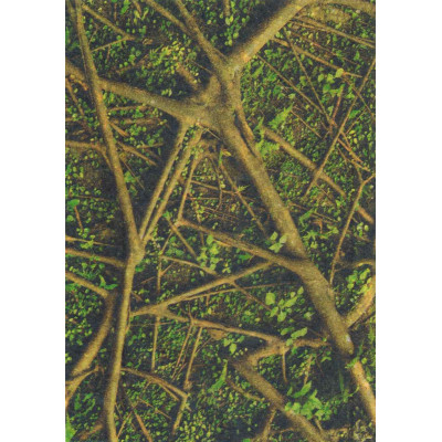 Hartie decoupage 234 - Decopatch