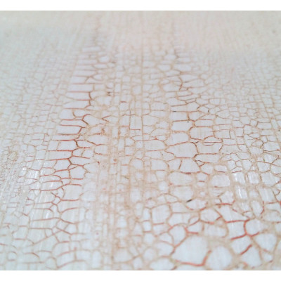 Lac de crapare Bicomponent Mustash 30ml - Micro 2