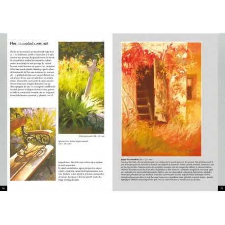 Carte - Bazele desenului 