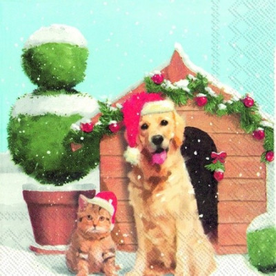 Servetel IHR Xmas dog and cat