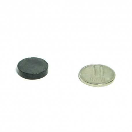 Promo 1+1 Pastila magnet 14mm