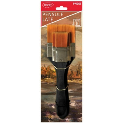 Pensula par sintetic set 3