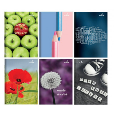 Caiet A5 80 file Ecada dictando 29580DR 2