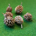 Ornamente natur 602942