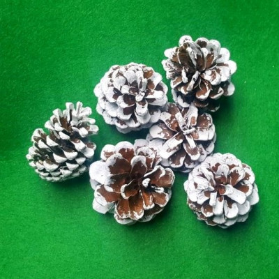 Con de brad vopsit set 6bc 2