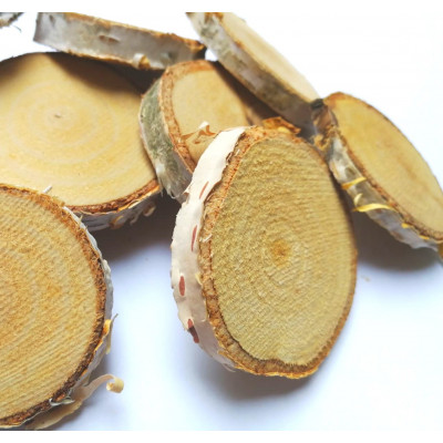 Set felii lemn mesteacan 2