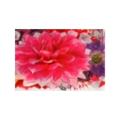 Folie termica pentru ou Paste model 4 2