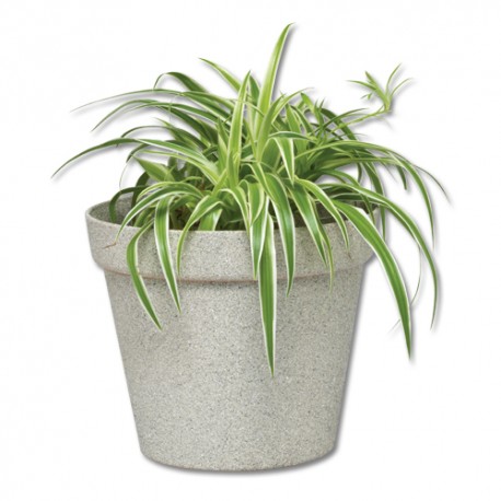 Spray vopsea texturata Pebble 400ml